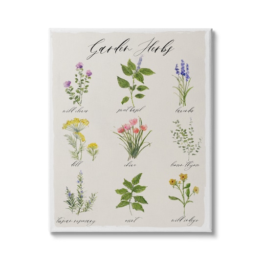 Stupell Industries Garden Herb Illustrated Chart Natural Kitchen Seasoning Canvas Wall Art